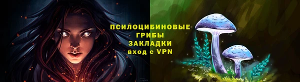 шишки Абдулино