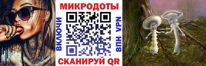 Галлюциногенные грибы Psilocybine cubensis  Шуя 