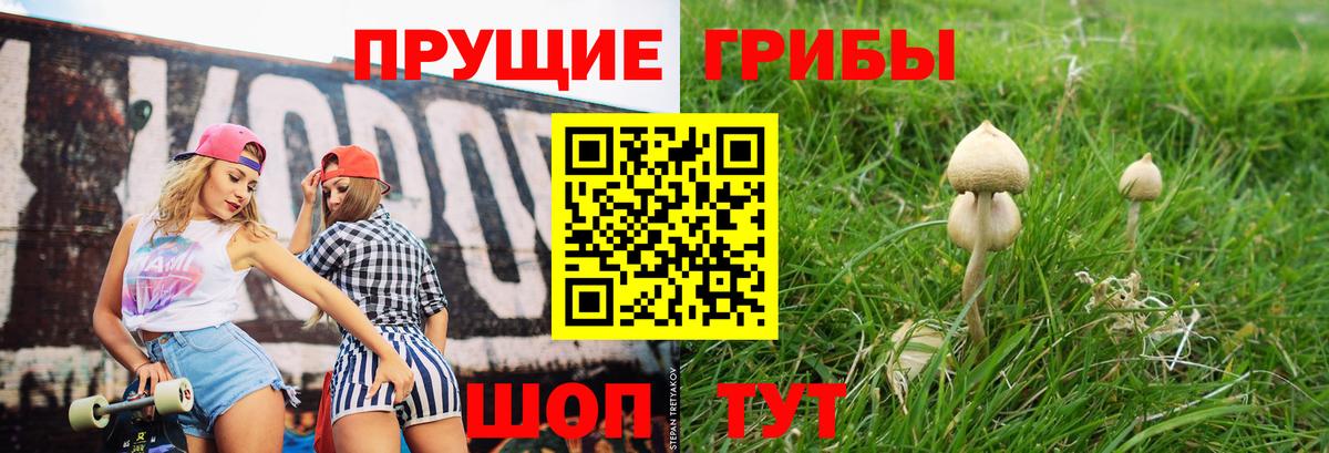 Шуя  Псилоцибиновые грибы мицелий  Вход с VPN 